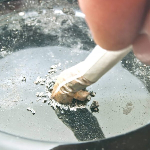 Bild på fimpad cigarett