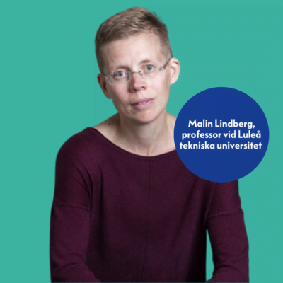 Malin Lindberg, professor vid Luleå tekniska universitet och professor på distans vid Centrum för civilsamhällesforskning vid Marie Cederschiöld högskola.