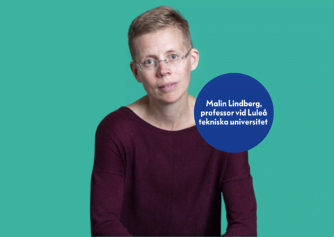 Malin Lindberg, professor vid Luleå tekniska universitet och professor på distans vid Centrum för civilsamhällesforskning vid Marie Cederschiöld högskola.