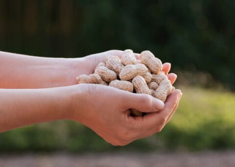 Hand håller i jordnötter
