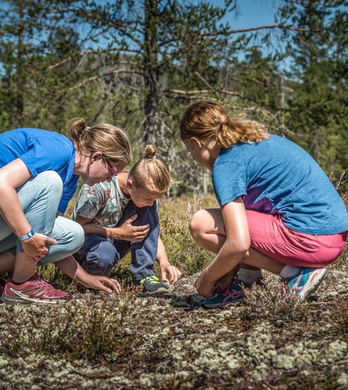 E-utbildning Allergisäkra äventyr
