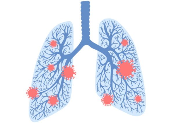 Coronaforskning_Webb