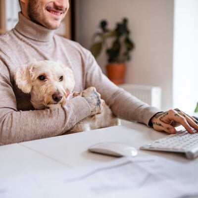 Så säger lagen om hund på jobbet