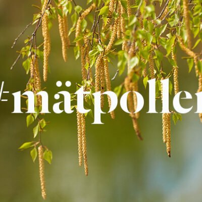 #mätpollen