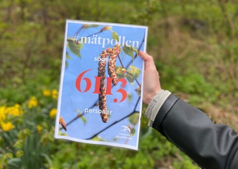 Över 6000 pollenallergiker i upprop för pollenprognoserna