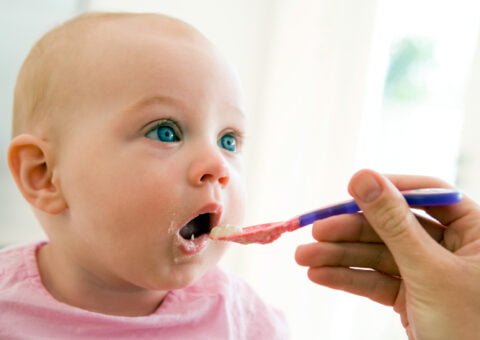 Introduktion av mat_600x424