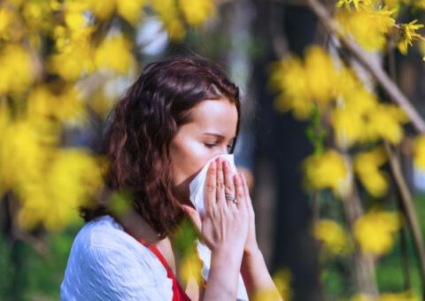 Pollenallergi