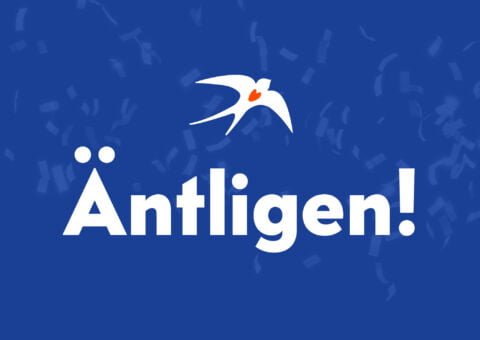 äntligen-svalan