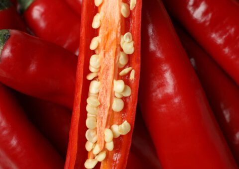 Kan chili hjälpa människor med doftöverkänslighet