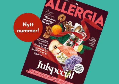 Stor julguide för allergiker i nya Allergia.